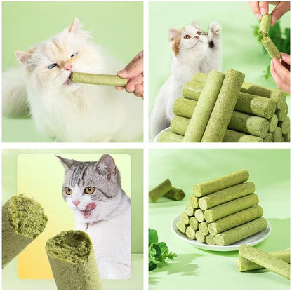 Cat Grass Teething Stick for Teeth and Hairballs (PACK OF 5)
