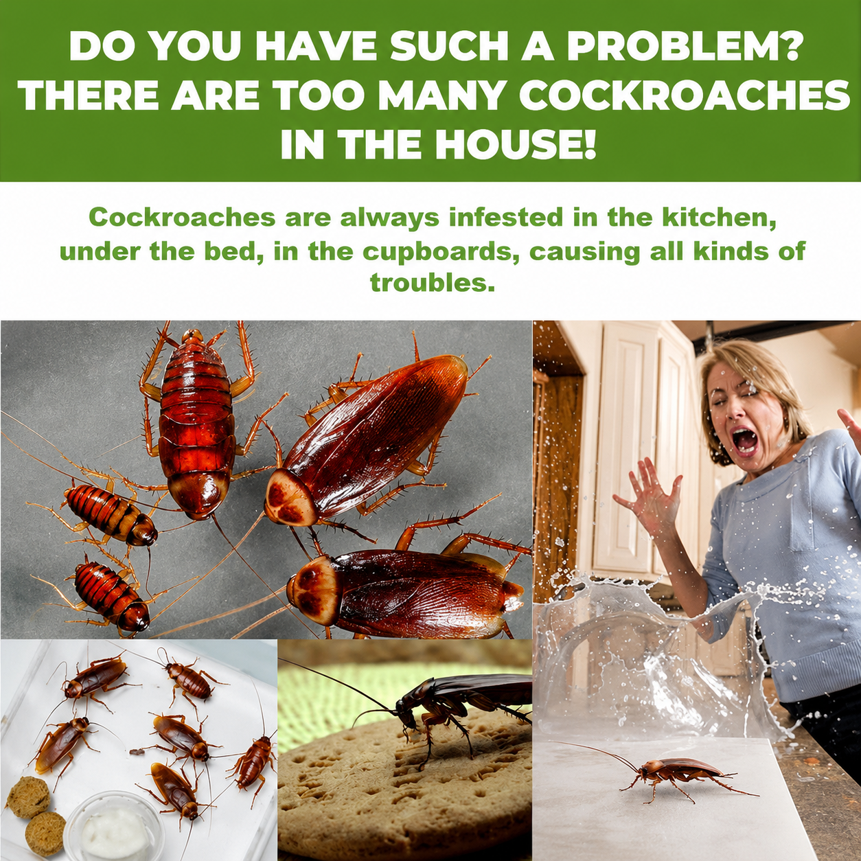 Roach Repellent Tablets – Keep Cockroaches Away🪳