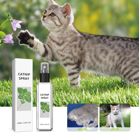 Cat Attracting Spray