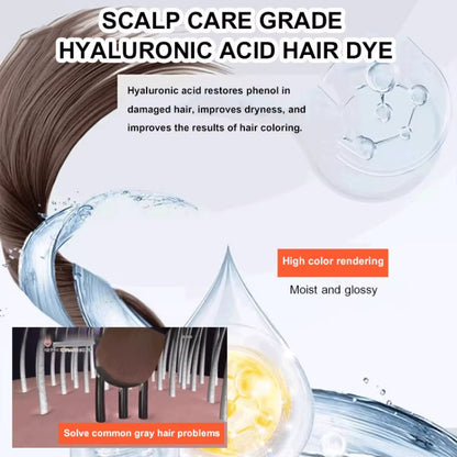 New 2 in 1 Comb Hair Dye