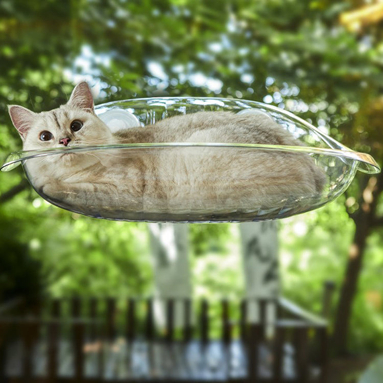 Cat Window Perch