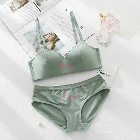 women's undergarment set